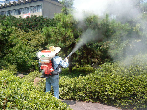 綠化養(yǎng)護(hù)